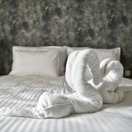 Xeuchia 3* 쇼키아